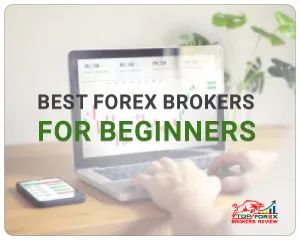 beginners best forex brokers 
