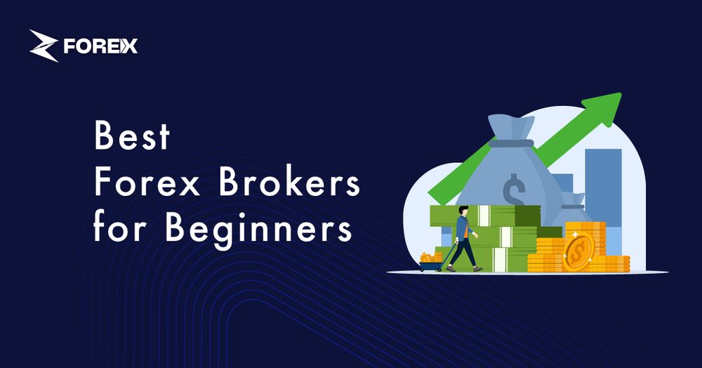 Best forex brokers for biginner