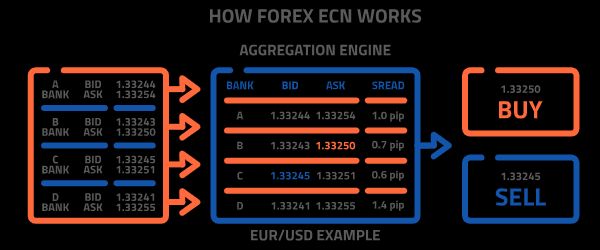 How to work ECN forex broker 