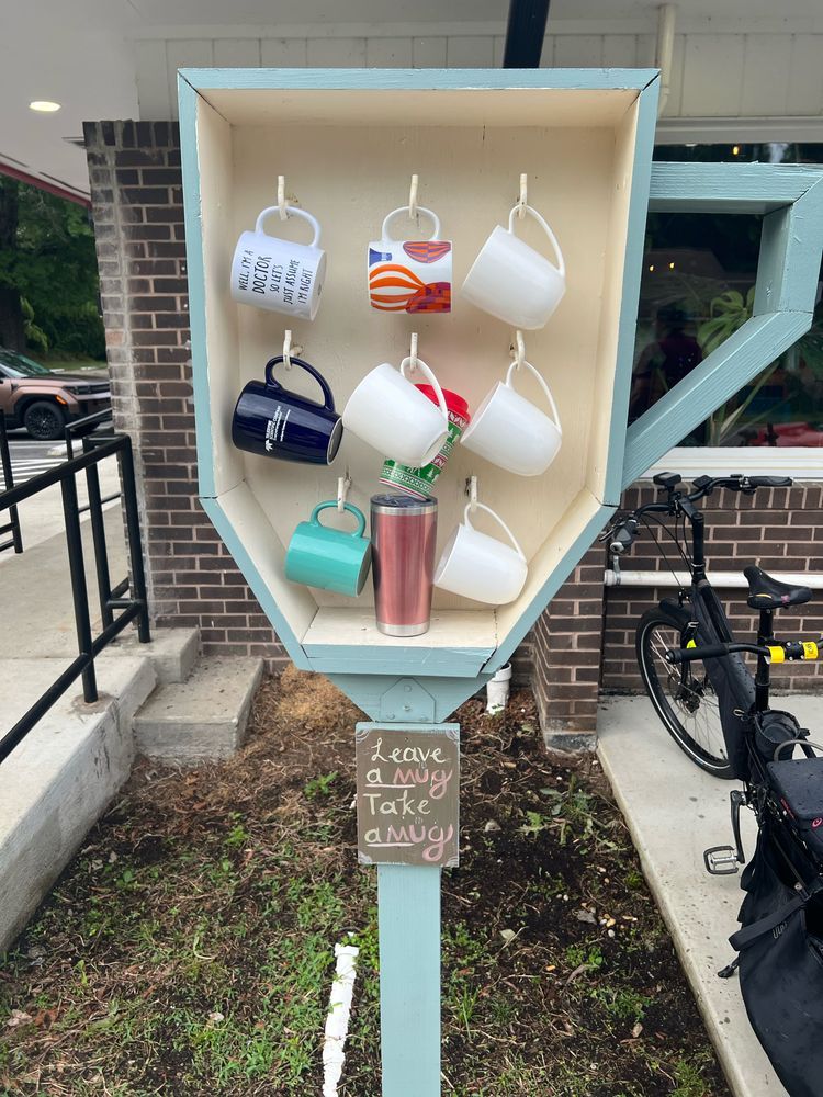 Mugs hanging on display 