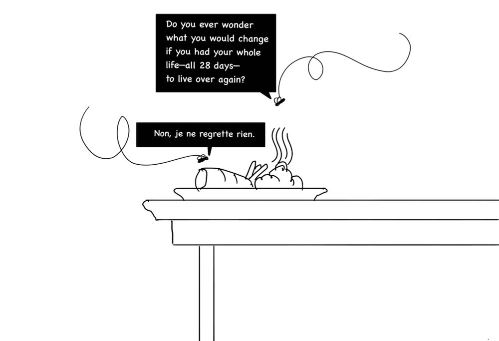 Simple line drawing cartoon. One fly buzzing above meal on a table asks another one on the food, “Do you ever wonder what you would change if you had your whole life—all 28 days—to live over again?” Other says, “Non, je ne regrette rien.”