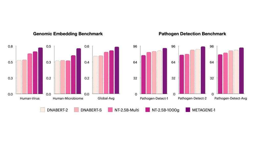 A subset of results on our Genomic Embedding Benchmark and Pathogen Detection Benchmark.