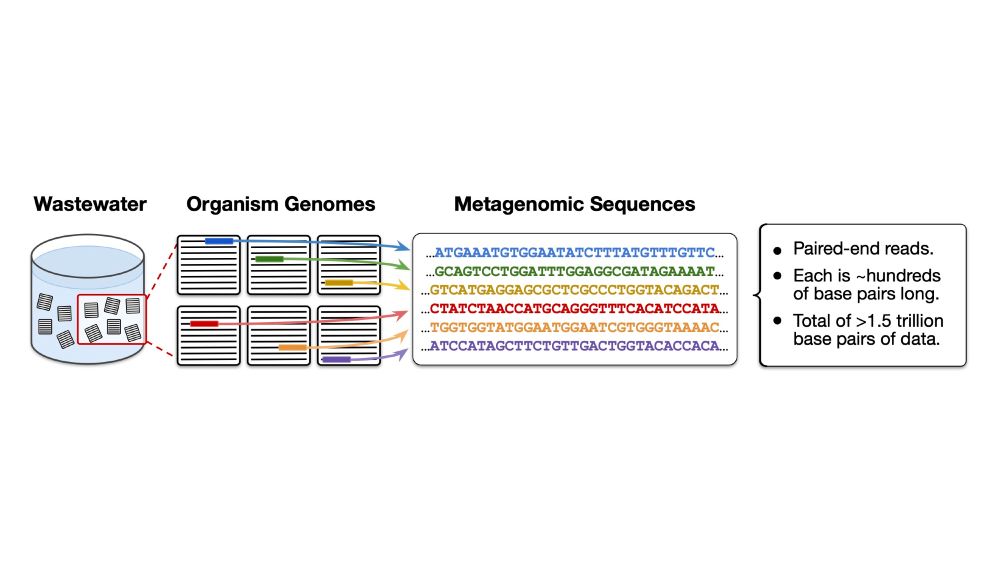 Overview of the metagenomic data collection and sequencing pipeline for model pretraining.