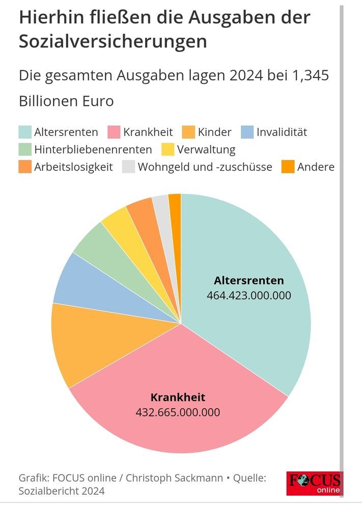 Ein buntes Kuchendiagramm, von Focus online. Es zeigt auf, was alles unter Sozialkosten fällt. Altersrenten, Krankheit und Kinder machen mehr als 3/4 der Ausgaben aus. Das restliche Viertel teilen sich Invalidität, Hinterbliebenenrenten, Verwaltung, Arbeitslosigkeit, Wohngeld und Zuschüsse und Andere in absteigenden Anteilen.
Christoph Sackmann - Quelle: Sozialbericht 2024