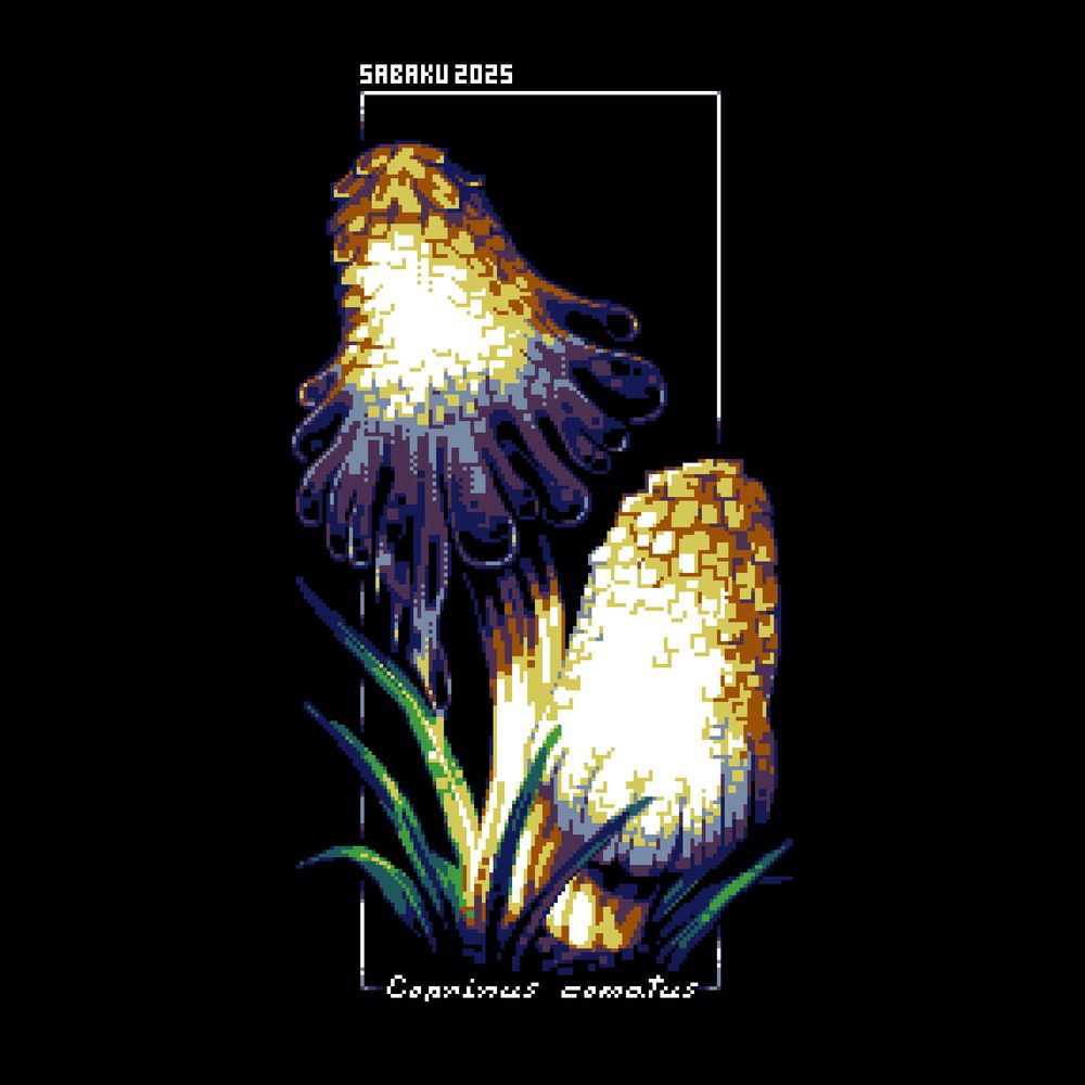 Pixelart Illustration of a mushroom called "Coprinus comatus" or "shaggy ink cap". This mushroom is generally white with some brownish skin on the top and darkens the more you go down. There is a big version of the mushroom in the picture that is already rotting (they do that pretty quickly when they are fully grown) and a smaller version where the cap is still close to the body. 
The colors are very intense, while the background is in a simple black. The latin name is written out in the lower part of the picture, while in the upper part of the picture you can read the artists signature ("Sabaku, 2025")