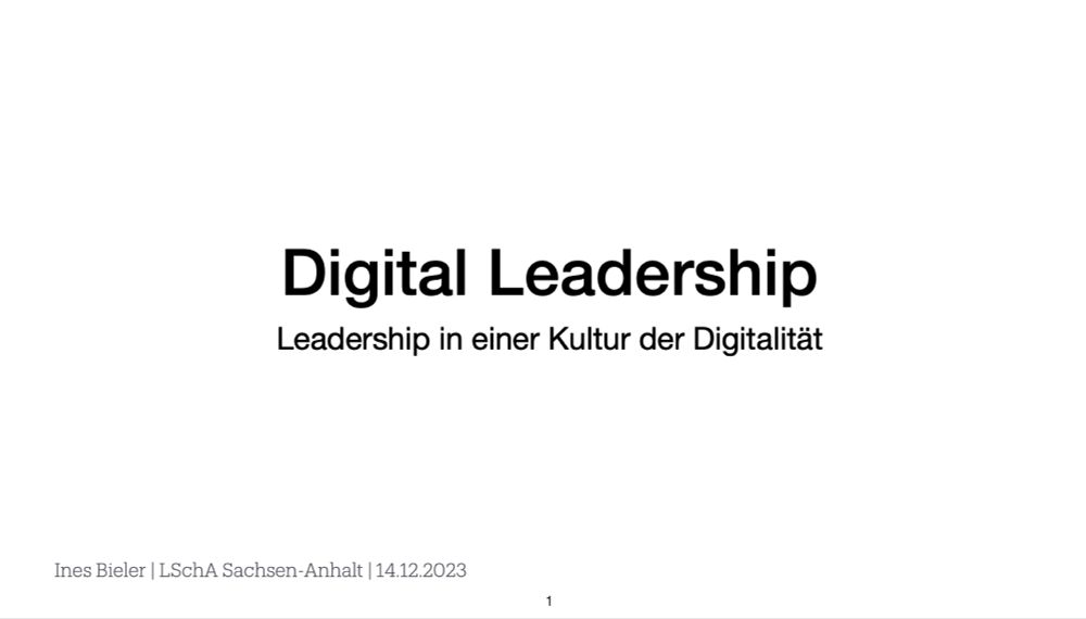 Ines Blog | Digital Leadership MV