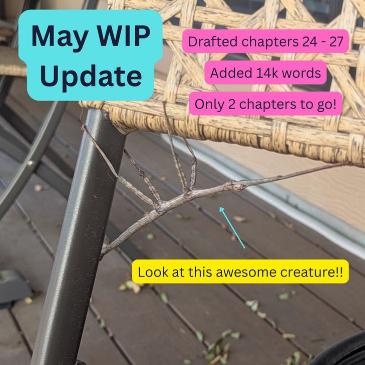 A giant stick insect clinging to a wicker chair.