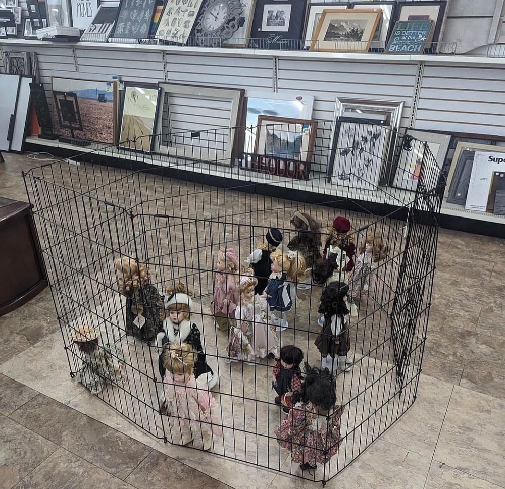 14 dolls in a cage at a store
