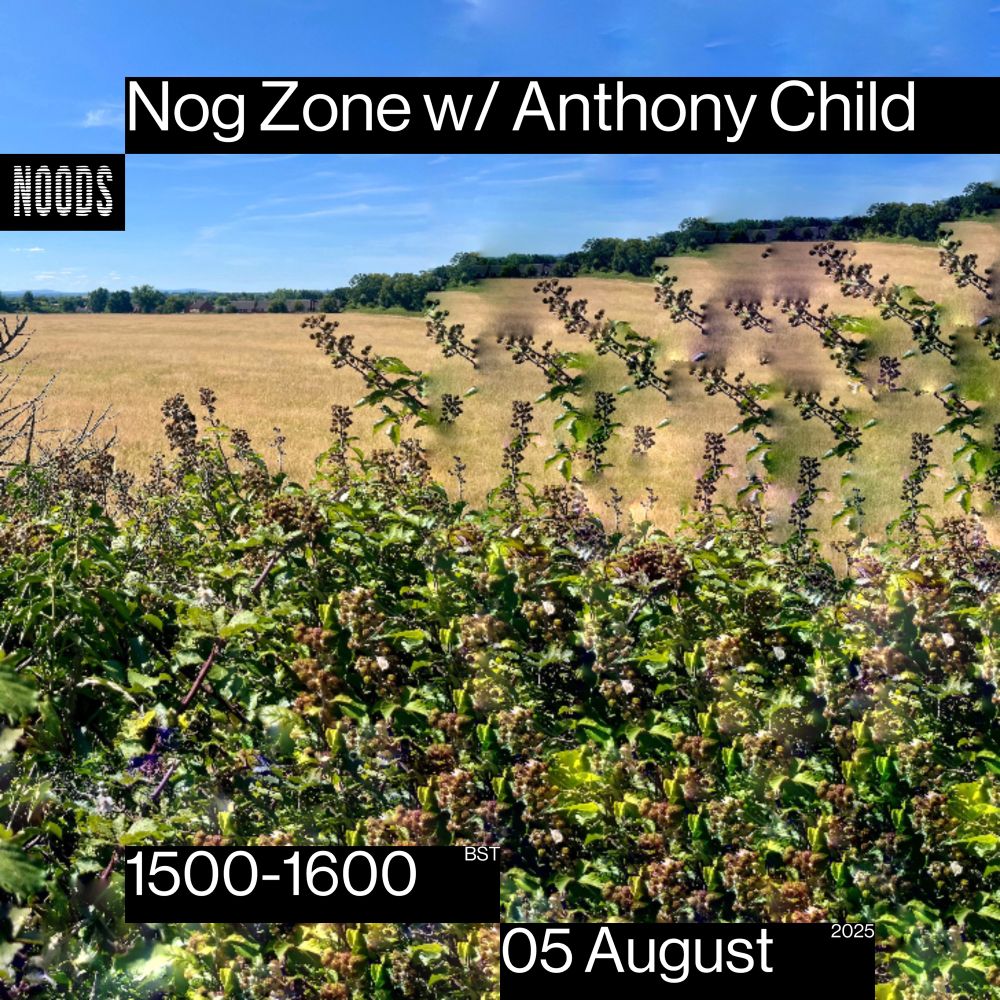 Nog Zone 5th August 3-4pm BST