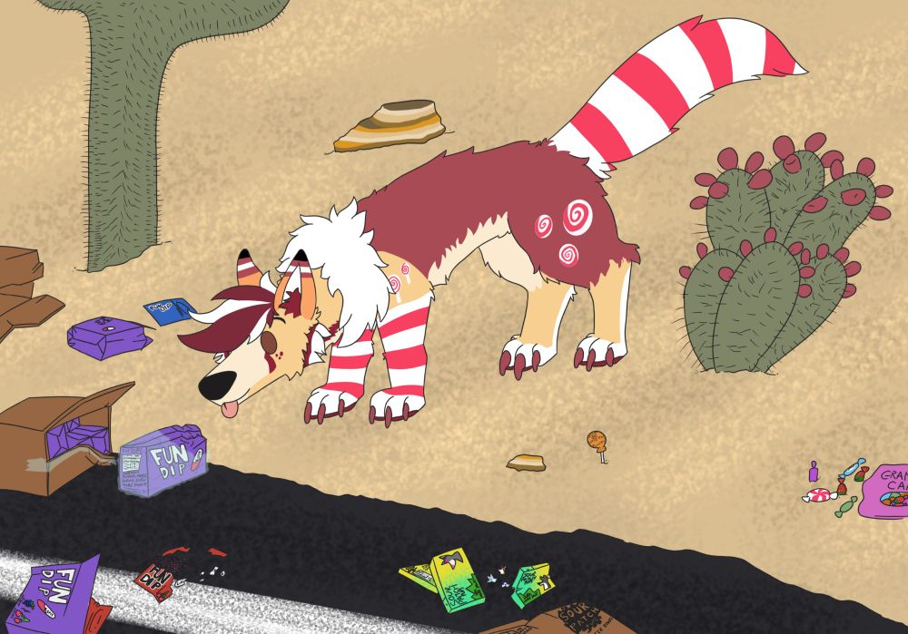 Pip a candy coyote is sniffing a box of fun dip sitting on a road side of an empty desert road