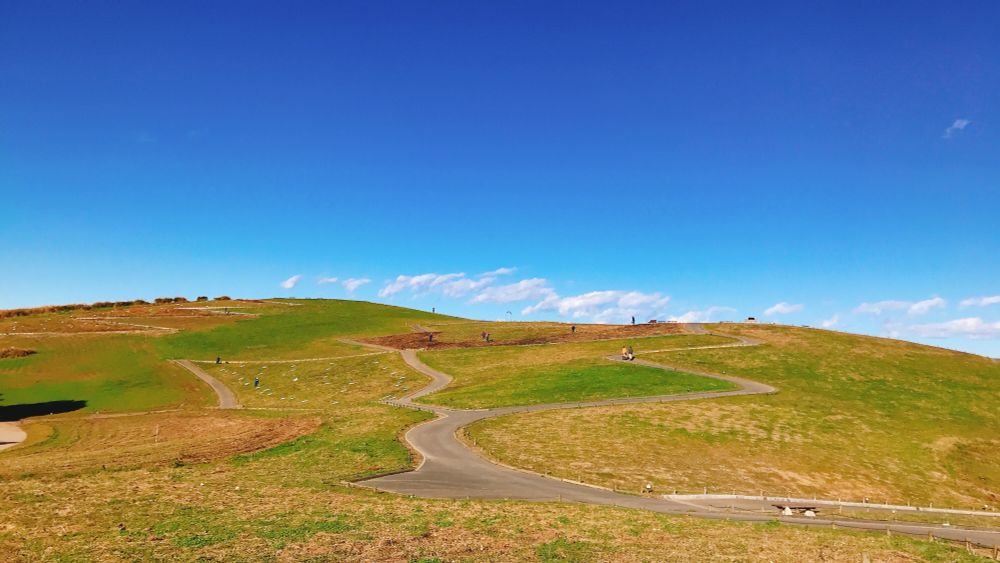 これは確か季節外れの茨城県　ひたち海浜公園