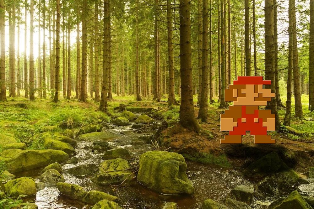 An inaccurate SMB1 Mario sprite, placed in the middle of a realistic forest.