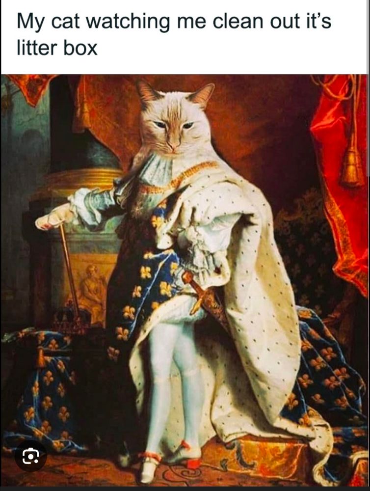 Comment image