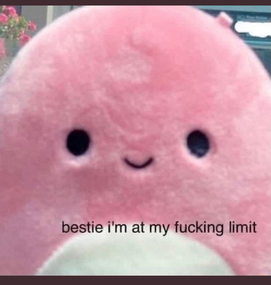 Pink plush saying bestie I’m at my fucking limit. 