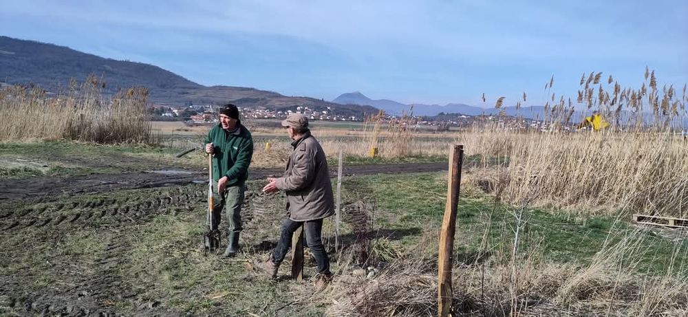 Plantation de poteaux pour protéger la haie de l'espace citoyen sur une zone de circulation réguliere