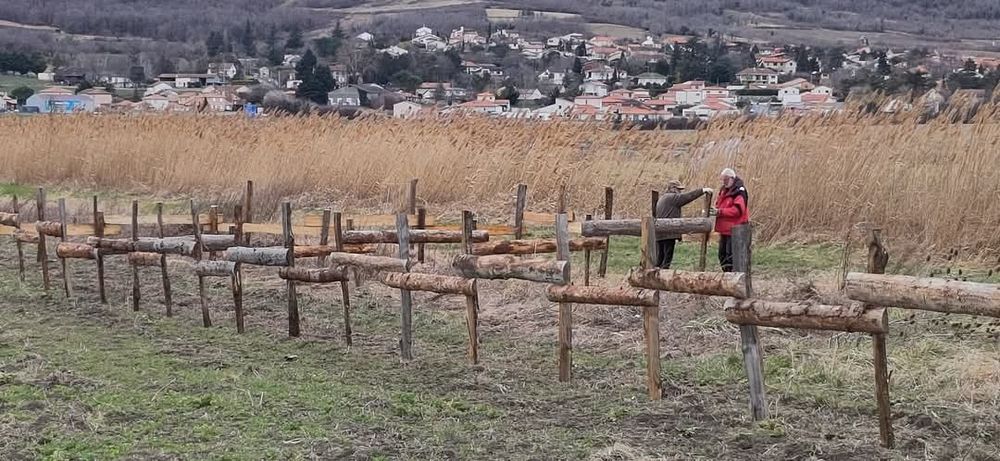 Fixation d'un palissage en dosser, les premières planches découpées dans un tronc à la scierie