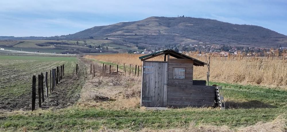 Poteaux pour délimiter un espace pédagogique derrière les toilettes sèches 