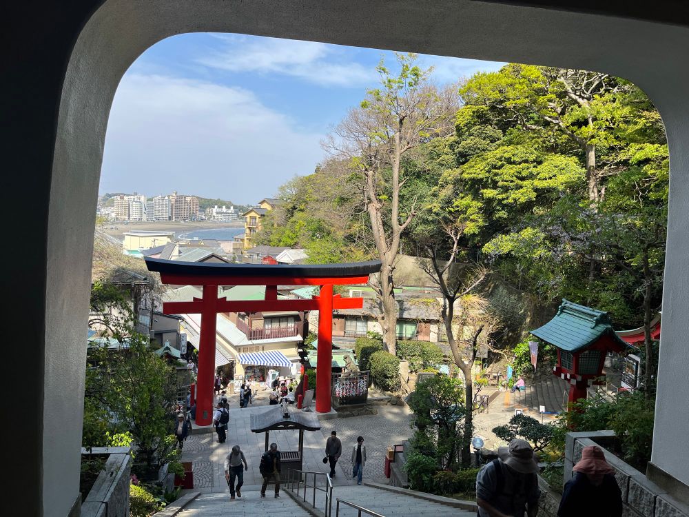 a view from enoshima shrine lookomg down at its red torii gates