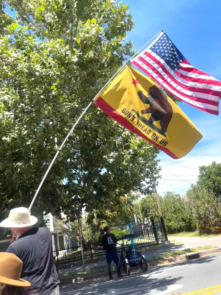 Don’t tread on us California flag 