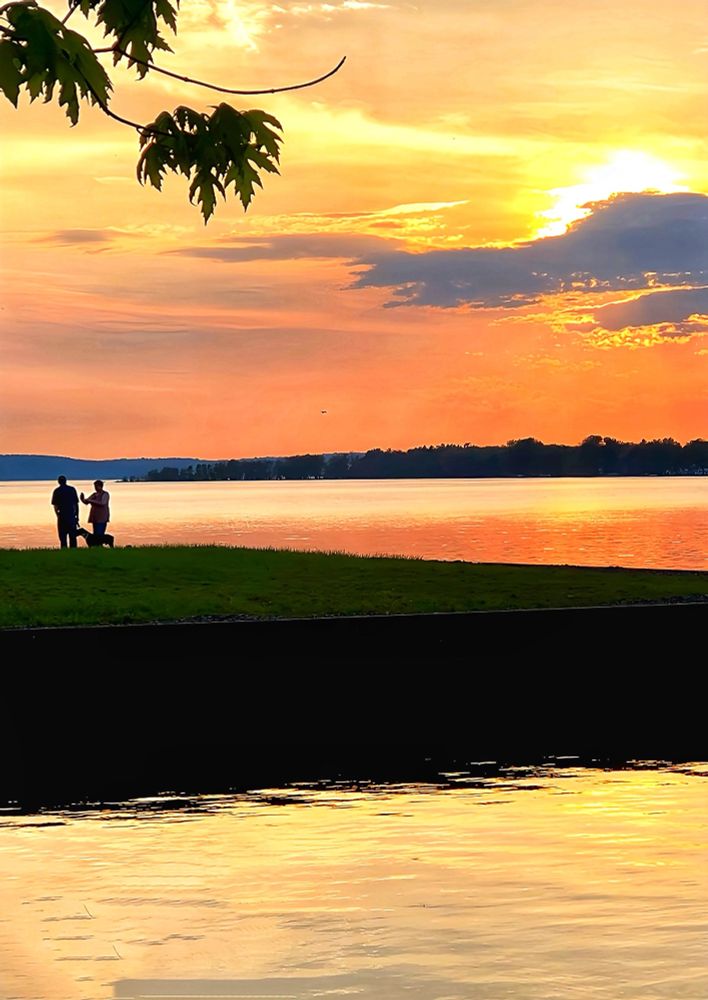 A picture of two people walking a dog silhouetted 
in the late day sun along the shoreline of a lake.
