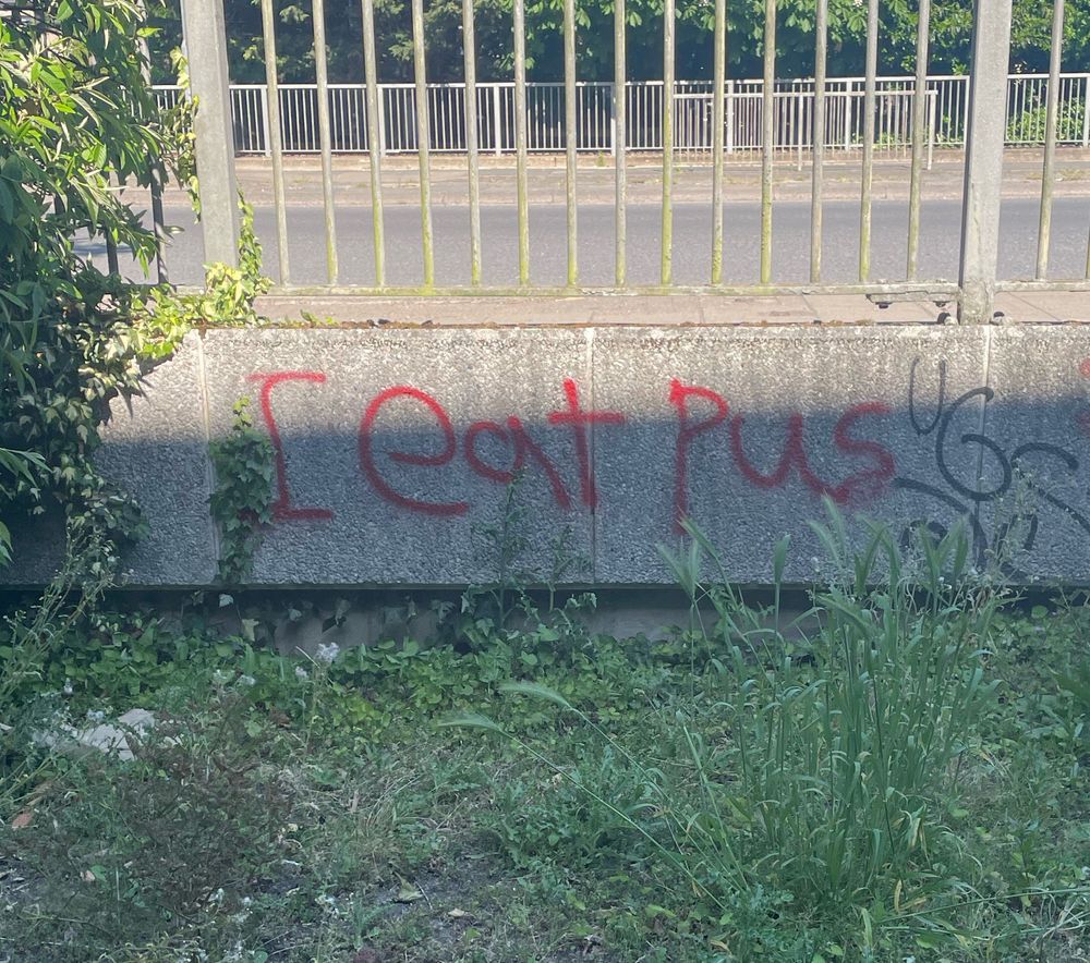 “I eat pus” spray painted in red on a concrete wall by a motorway
