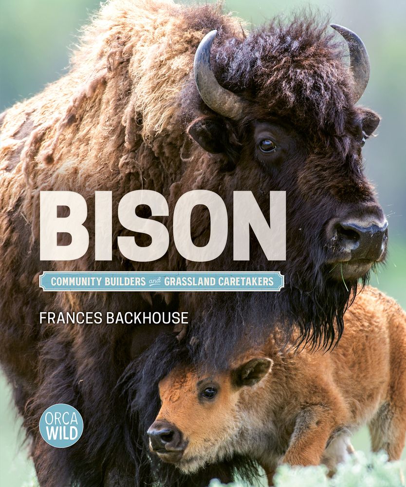 A bison cow and calf on the front cover of Bison: Community Builders and Grassland Caretakers by Frances Backhouse.