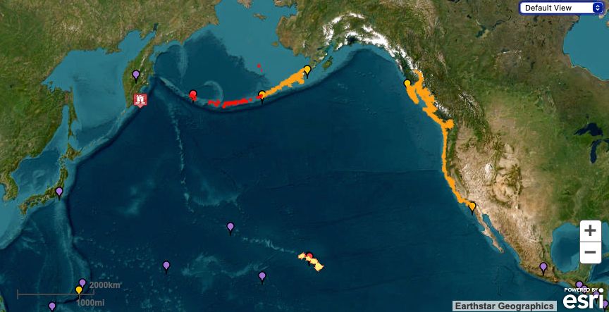 tsunami warnings