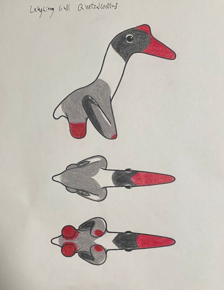A tinysaur Quetzalcoatlus template by Primal Creations. Colored with colored pencils and white pen to resemble the colors of a laughing gull.