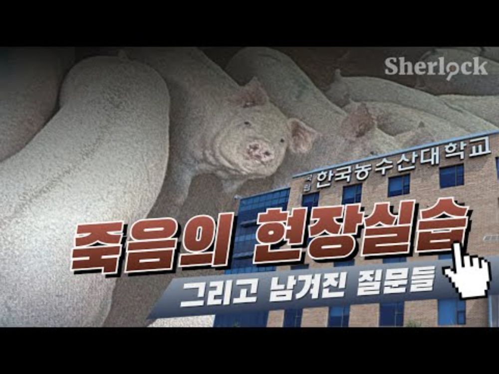 합천 돼지농장 현장실습생 화재 사망사고 I 죽음의 현장실습 그리고 남겨진 질문들