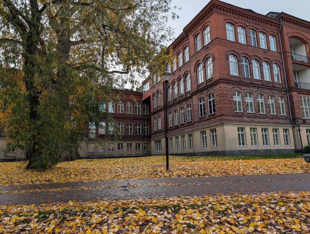 Ett av husen bakom. Gick 20 meter norrut innan jag tog bilden eftersom det precis bakom parken just nu renoveras och är täckt av byggställningar. Men som jag har för mig ser likadant ut
