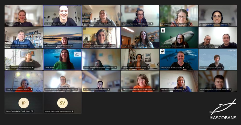 𝘛𝘩𝘦 𝘑𝘢𝘴𝘵𝘢𝘳𝘯𝘪𝘢 𝘎𝘳𝘰𝘶𝘱 𝘪𝘴 𝘵𝘩𝘦 𝘚𝘵𝘦𝘦𝘳𝘪𝘯𝘨 𝘎𝘳𝘰𝘶𝘱 𝘧𝘰𝘳 𝘵𝘩𝘦 𝘈𝘚𝘊𝘖𝘉𝘈𝘕𝘚 𝘙𝘦𝘤𝘰𝘷𝘦𝘳𝘺 𝘗𝘭𝘢𝘯 𝘧𝘰𝘳 𝘉𝘢𝘭𝘵𝘪𝘤 𝘏𝘢𝘳𝘣𝘰𝘶𝘳 𝘗𝘰𝘳𝘱𝘰𝘪𝘴𝘦𝘴 (𝘑𝘢𝘴𝘵𝘢𝘳𝘯𝘪𝘢 𝘗𝘭𝘢𝘯) 𝘢𝘯𝘥 𝘵𝘩𝘦 𝘈𝘚𝘊𝘖𝘉𝘈𝘕𝘚 𝘊𝘰𝘯𝘴𝘦𝘳𝘷𝘢𝘵𝘪𝘰𝘯 𝘗𝘭𝘢𝘯 𝘧𝘰𝘳 𝘵𝘩𝘦 𝘏𝘢𝘳𝘣𝘰𝘶𝘳 𝘗𝘰𝘳𝘱𝘰𝘪𝘴𝘦 𝘗𝘰𝘱𝘶𝘭𝘢𝘵𝘪𝘰𝘯 𝘪𝘯 𝘵𝘩𝘦 𝘞𝘦𝘴𝘵𝘦𝘳𝘯 𝘉𝘢𝘭𝘵𝘪𝘤, 𝘵𝘩𝘦 𝘉𝘦𝘭𝘵 𝘚𝘦𝘢 𝘢𝘯𝘥 𝘵𝘩𝘦 𝘒𝘢𝘵𝘵𝘦𝘨𝘢𝘵 (𝘞𝘦𝘴𝘵𝘦𝘳𝘯 𝘉𝘢𝘭𝘵𝘪𝘤 𝘊𝘰𝘯𝘴𝘦𝘳𝘷𝘢𝘵𝘪𝘰𝘯 𝘗𝘭𝘢𝘯). 
📸: ASCOBANS Secretariat.  