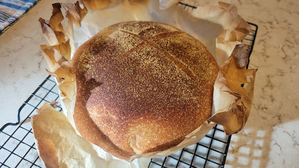 Sourdough loaf in parchment paper