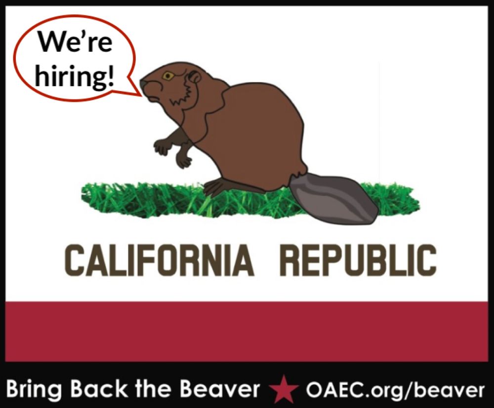 Hiring: Beaver Coexistence Program Manager - Occidental Arts & Ecology Center