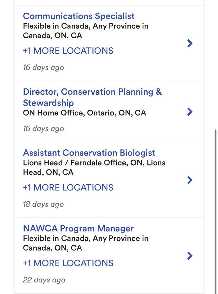 Screenshot of jobs on the career centre 