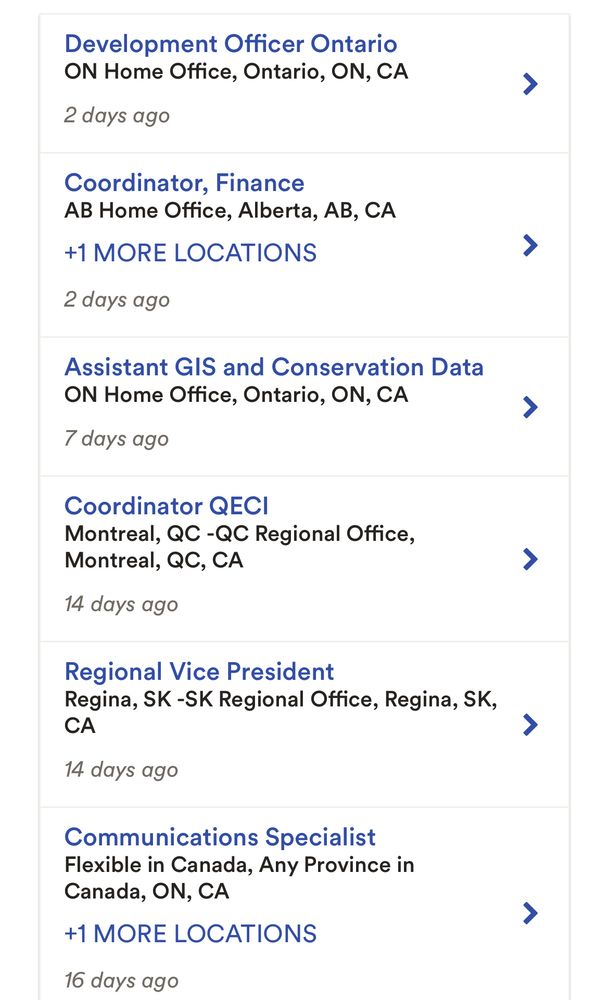 Screenshot of jobs on the career centre 