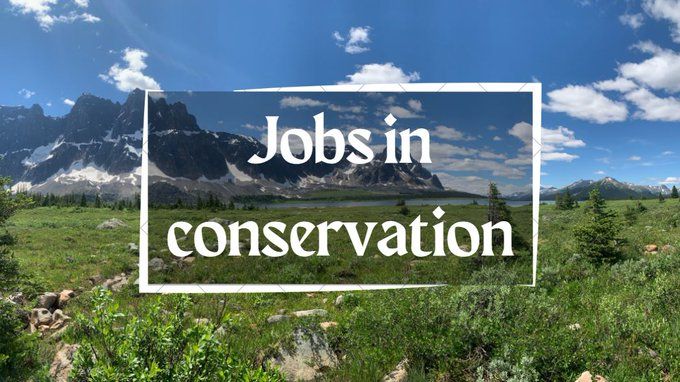 A flyer that says "Jobs in conservation" in white text inside a white box, where the background is beautiful mountains with patches of snow, blue sky, and the foreground is green grass, shrubs, and scattered trees.