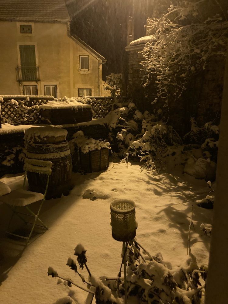 Mon jardin enneigé, de nuit, éclairé par un lampadaire
