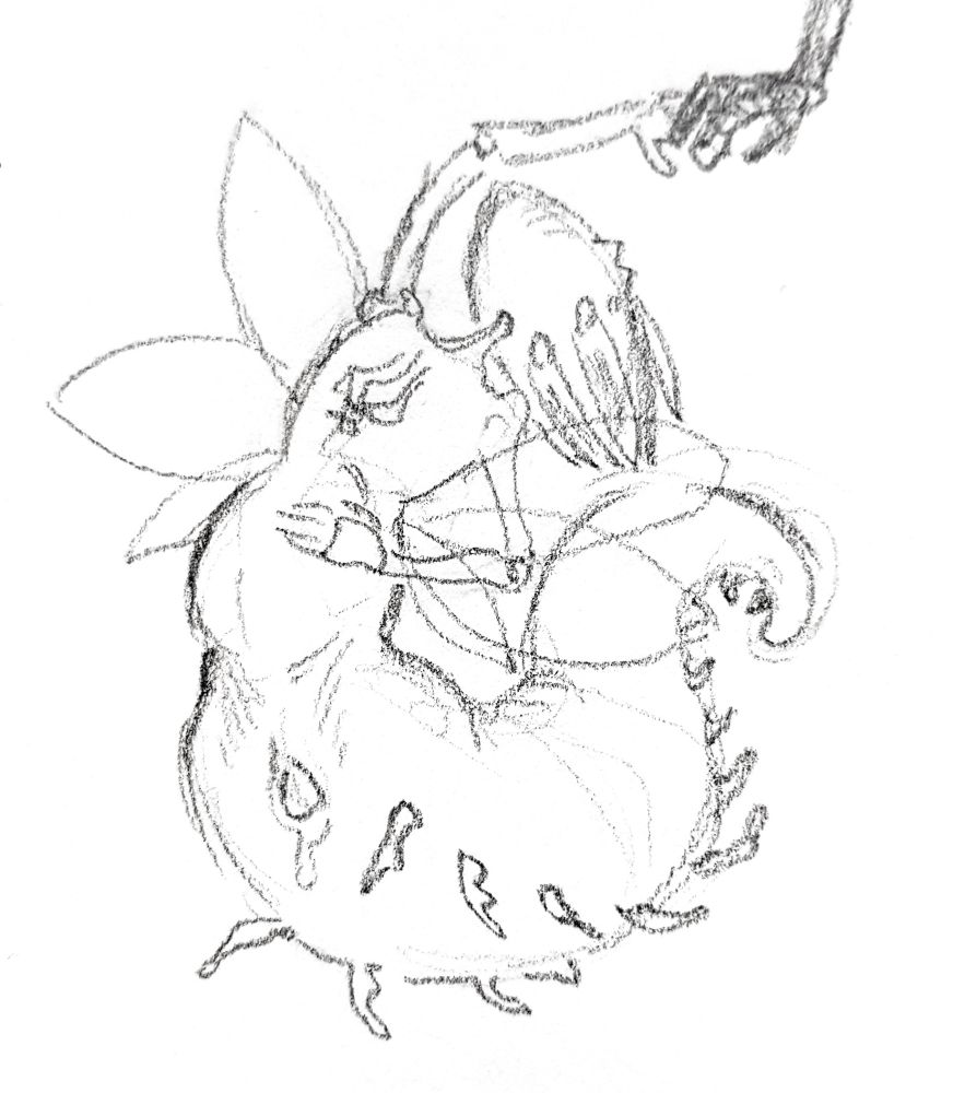 pencil sketch of the pale king while pregnant/full of eggs. his belly is full and heavy, visibly stretching from within, and from his leaking hole the head of one of the eggs is visible and slipping out. his tail is convulsing behind him, and he reaches up above his head with his left hand, to grip the hand of the pure vessel (the one who planted these eggs). his other hand lays on his stomach.