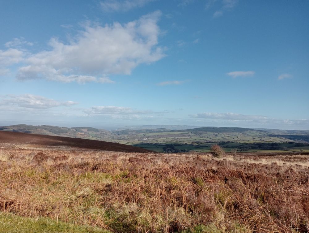 View from below Dunkery, Exmoor.