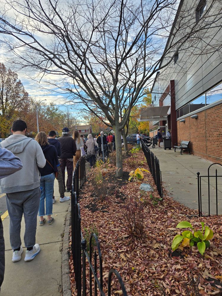 Photo of people lined up outside a polling station.