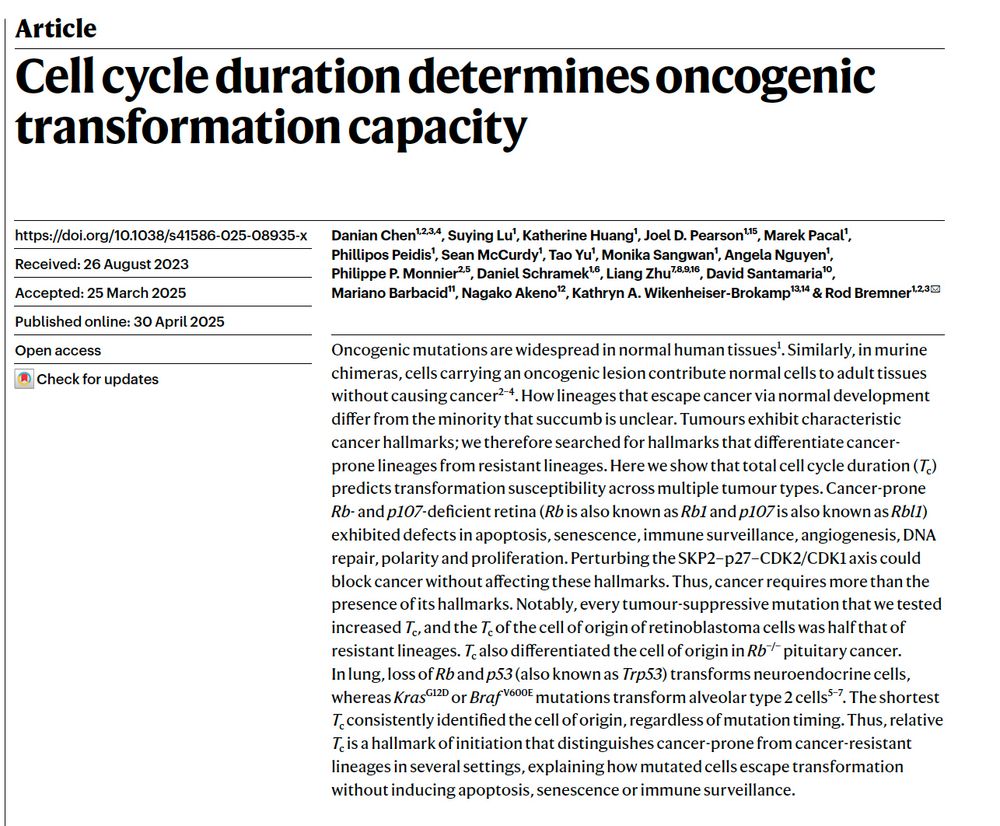 Cell cycle duration determines oncogenic transformation capacity

Danian Chen, Suying Lu, Katherine Huang, Joel D. Pearson, Marek Pacal, Phillipos Peidis, Sean McCurdy, Tao Yu, Monika Sangwan, Angela Nguyen, Philippe P. Monnier, Daniel Schramek, Liang Zhu, David Santamaria, Mariano Barbacid, Nagako Akeno, Kathryn A. Wikenheiser-Brokamp & Rod Bremner 

https://www.nature.com/articles/s41586-025-08935-x