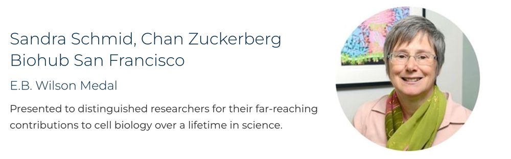 Picture of Sandra Schmid, Chan Zuckerberg Biohub San Francisco
E.B. Wilson Medal

Presented to distinguished researchers for their far-reaching contributions to cell biology over a lifetime in science.
 