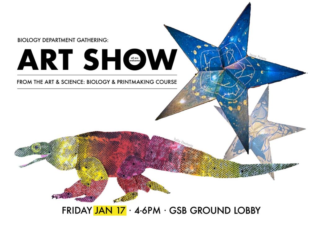 Poster for the show featuring an iguana (I think)