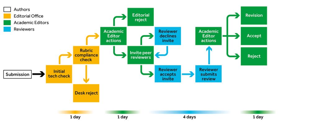 Flow chart of the process