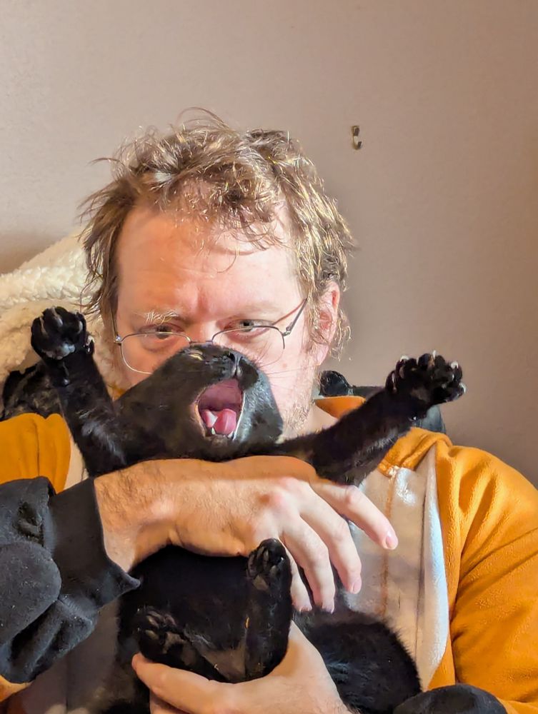 Black cat getting snuggles 