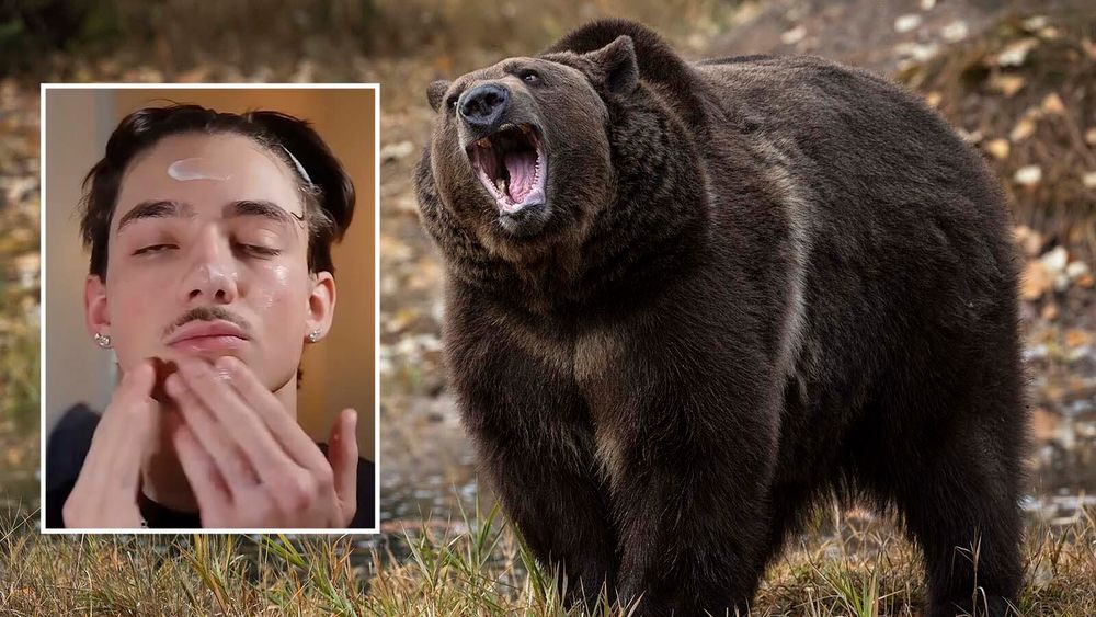 Beef tallow is gaining popularity as a skin care treatment, but slathering it on while vacationing in Yellowstone National Park or anywhere in grizzly…