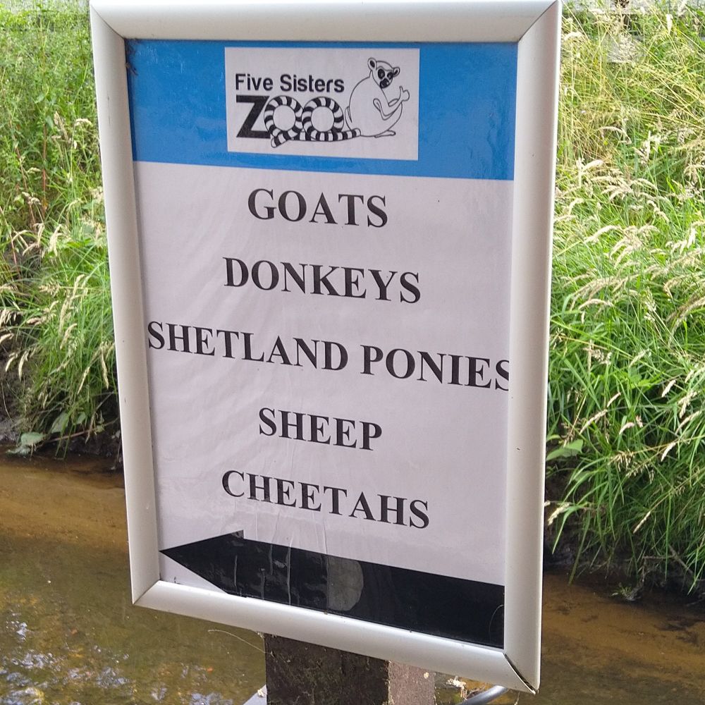 A sign at five sisters zoo that reads "Goats, donkeys, Shetland ponies, sheep, cheetahs"