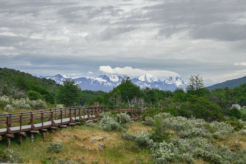 Landscape photo with a walkway leading to mountains in the background
