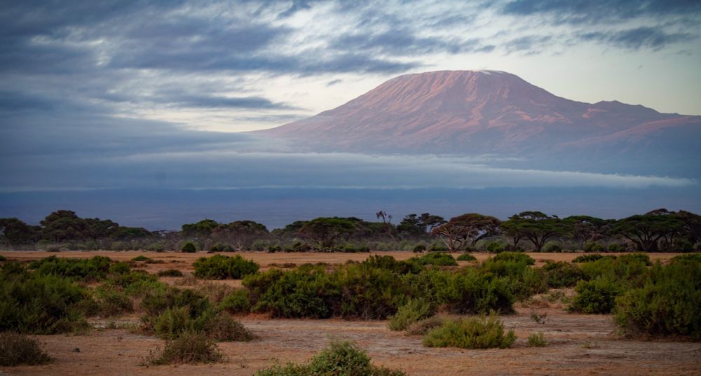 The Kilimanjaro is bathed in golden light from the sunrise. Vast plains in the foreground