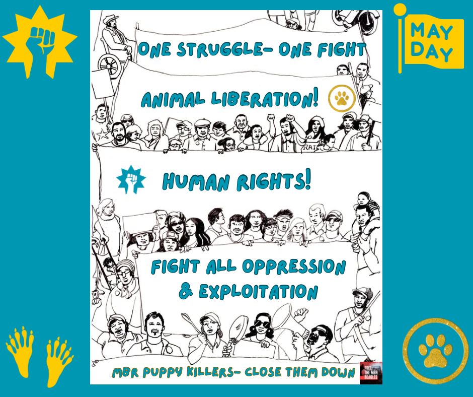 Image shows a May Day protest- using a template from Sanya Hyland- with a diverse crowd of activists holding banners promoting fighting all oppression and exploitation 